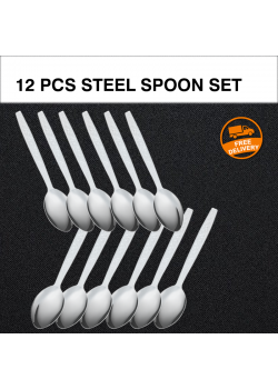 12 Pcs High Quality Stainless Steel Spoon Set, G056